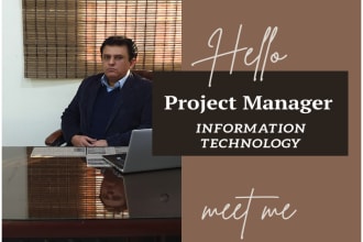 provide IT project manager services