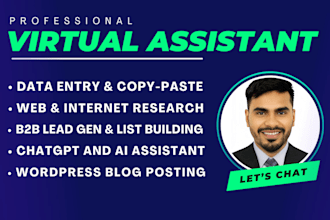 be a virtual assistant for data entry, b2b leads, wordpress blog, chatgpt, more