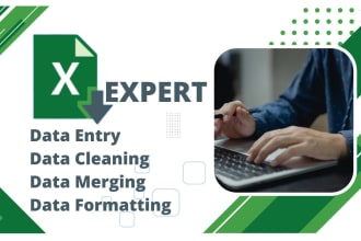 do excel data entry cleaning merging and formatting services