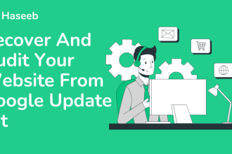 recover and audit your website from google update hit