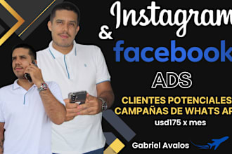 crearé y gestionaré los anuncios en facebook e instagram