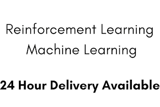 reinforcement learning  24 hour delivery available