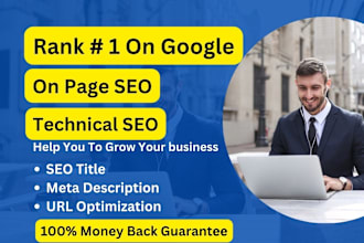 do website on page SEO and technical optimization service for wordpress