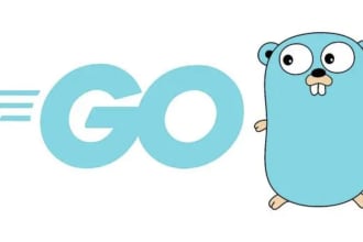 develop software in golang