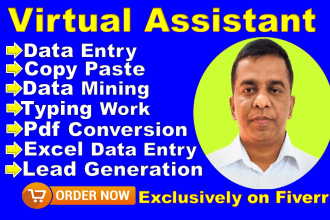 be your virtual assistant for data entry, copy paste, typing  and web research