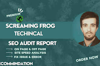 provide screaming frog technical seo audit report