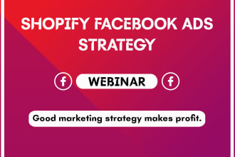 create a professional shopify facebook ads strategy campaign