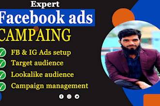 setup and manage your facebook ads campaign