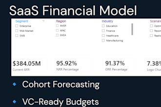 build saas financial model and cohort analytics dashboard