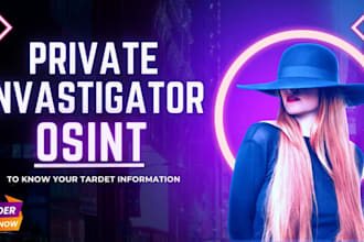 professional osint private investigator and background checker on any target