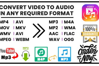 professional video to mp3 conversion service high quality results