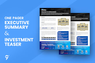 design executive summary or investment teaser