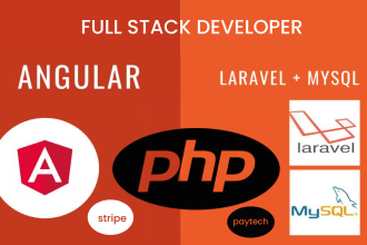 build a full stack web app with laravel, django and angular