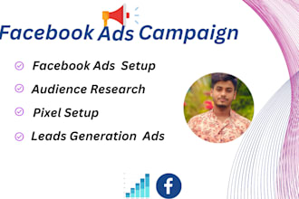 be professionally manage your fb paid marketing campaigns