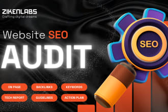 do a professional seo audit and action plan