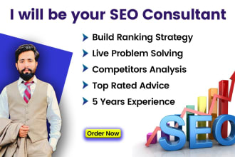be your SEO consultant, mentor coach and strategist