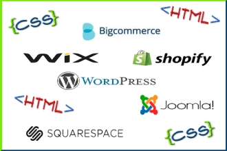 build a custom  bigcommerce or shopify website for you