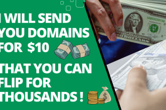 send you premium domains you can sell for thousands