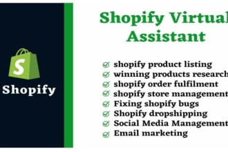 be your expert shopify store manager