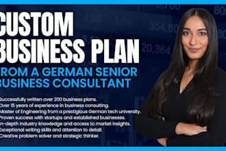 write a professional business plan