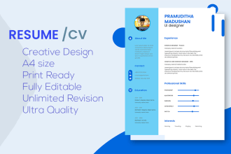 do professional ats resume design service CV maker resume editing