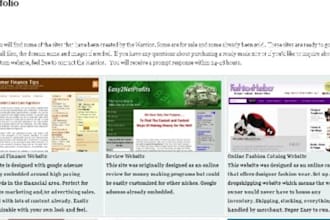 create a stunning personal or business website