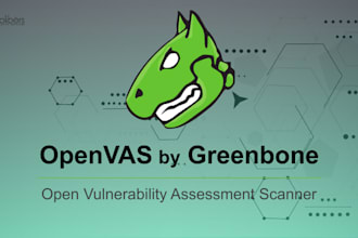 do vulnerability scanning and reporting