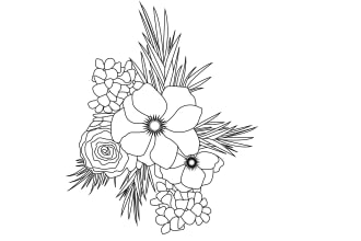 draw botanical flowers, line art, plants and illustration