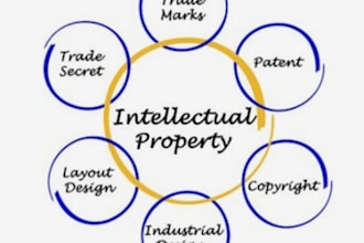 help you apply for chinese trademarks and patents