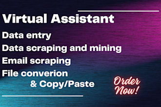 be your virtual assistant and data entry specialist