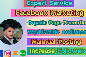 do organic facebook promotion in the USA