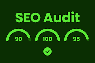 audit your websites SEO performance