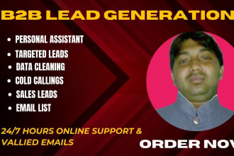 do b2b lead generation cold calling sales data mining personal assistant