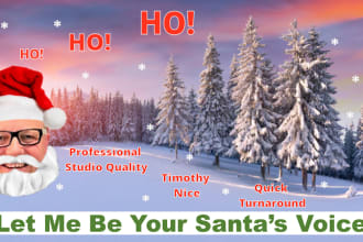 make your santa claus or father christmas come alive with my voice