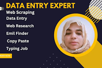 provide precise data entry, web scraping, excel, and web research
