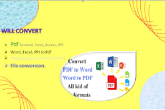 do excellent work on data entry, ms word, and PDF conversion