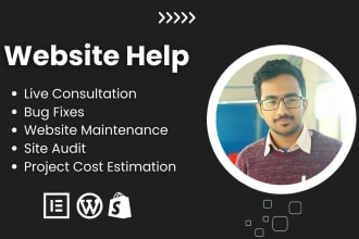 do wordpress help, shopify help, live consultation