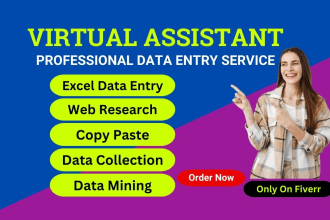 do urgent data entry in low price
