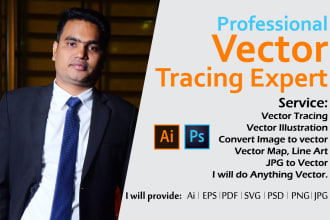 remake, vector tracing, vector illustration and vectorize image