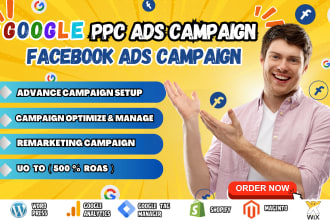 manage meta ads, google ppc ads, remarketing ads, display ads, search ads,fb ads