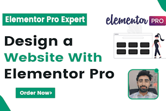 design a modern wordpress website as an elementor pro expert