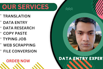 do data entry, copy paste, typing job, web research work