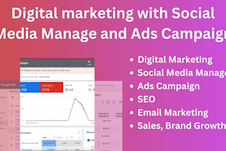 do digital marketing and social media manager with ads campaign