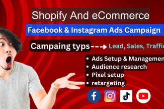 be your shopify facebook ads campaign manager and instagram ads campaign
