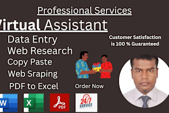 do professional data entry and web research job with customer satisfaction
