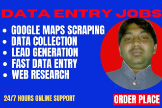 do google maps scrape data collection data mining super fast data entry