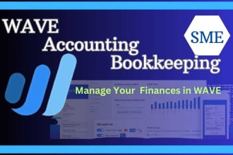 provide wave assisted professional bookkeeping services