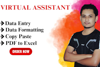 do data entry, data collection, data formatting, copy paste