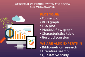 conduct both systematic and meta analysis