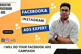 setup facebook ads  and instagram  marketing  campaigns